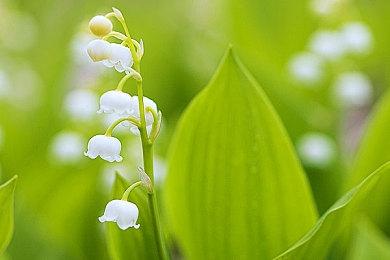 网易开放世界生存游戏《曾经为人》新实机预告